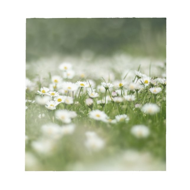 Daisy Meadow Anteckningsblock (Framsida)