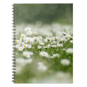 Daisy Meadow Anteckningsbok