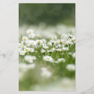 Daisy Meadow Brevpapper