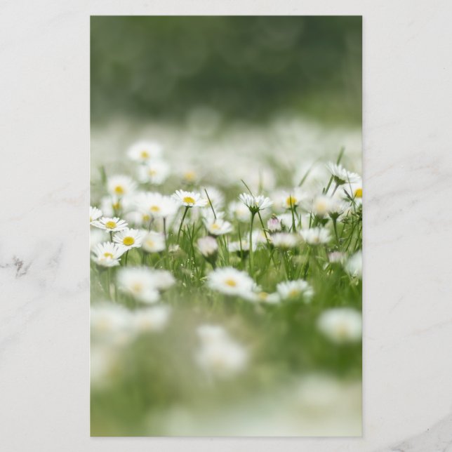 Daisy Meadow Brevpapper (Framsida)