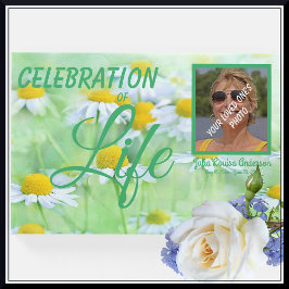 Daisy Meadow Firande of Life, Memorial Photo Gästböcker