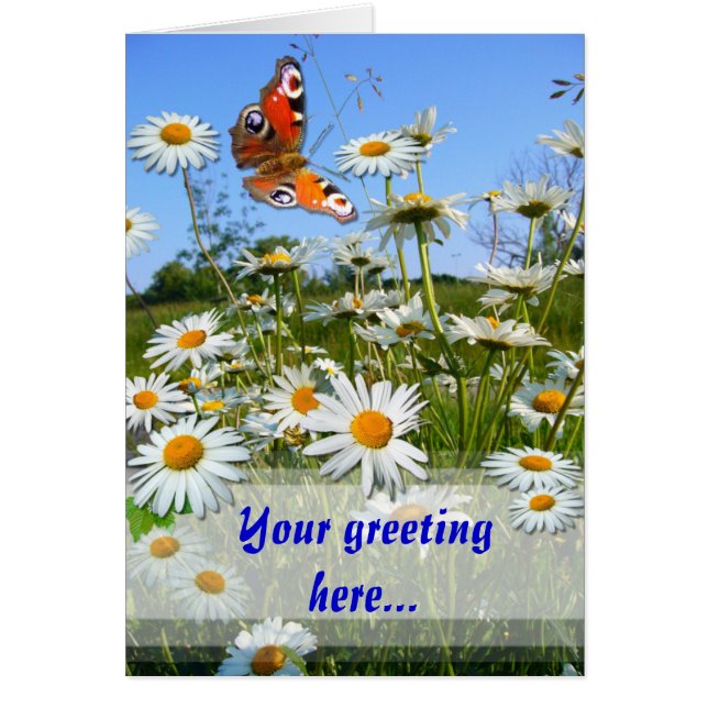 DAISY-MEADOW ~-kort Hälsningskort (Framsidan)