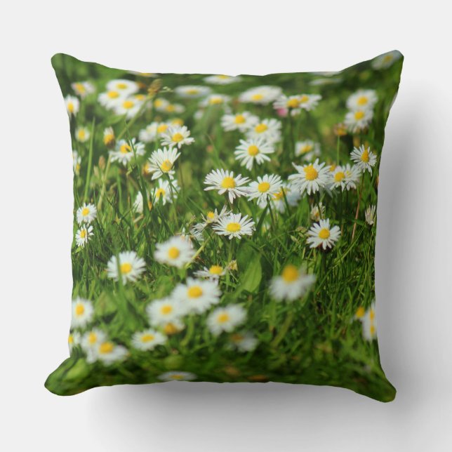 Daisy Meadow Kudde (Framsida)