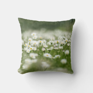 Daisy Meadow Kudde