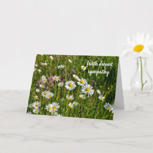 Daisy Meadows - Med djupaste sympati Kort