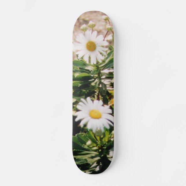 DAISY MINI SKATEBOARD BRÄDA 18,5 CM (Framsida)