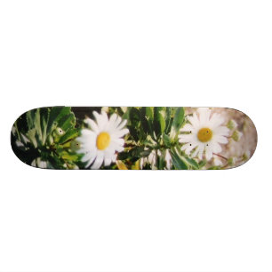 DAISY MINI SKATEBOARD BRÄDA 18,5 CM