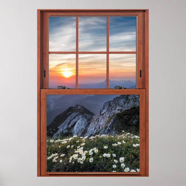 Daisy Mountain Window Illusion Poster (Framsidan)