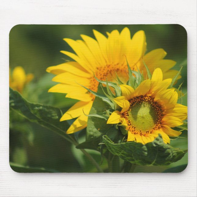 Daisy Mousepad - HAMbyWhiteGlove Musmatta (Framsidan)