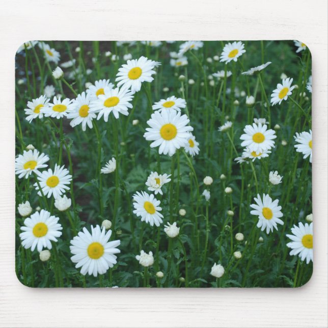 Daisy - Mousepad Musmatta (Framsidan)