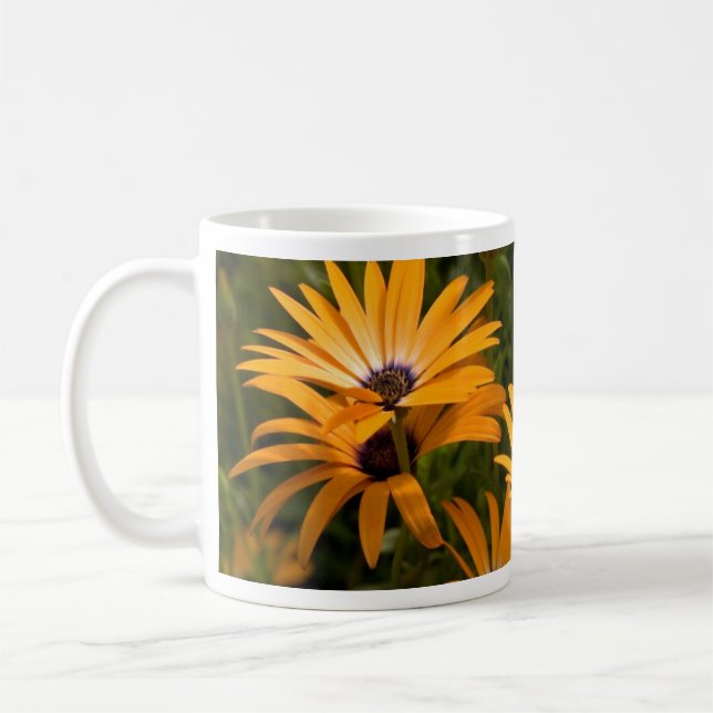 Daisy Mugg (Vänster)