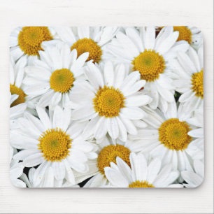 Daisy Musmatta