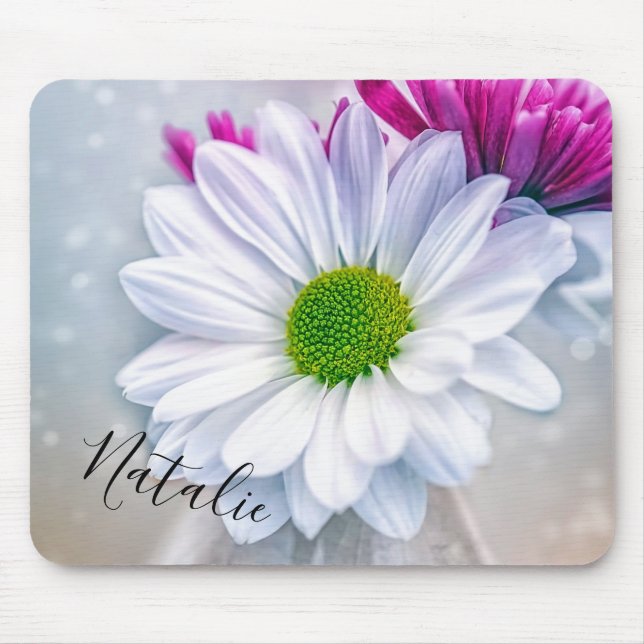 Daisy Musmatta (Framsidan)