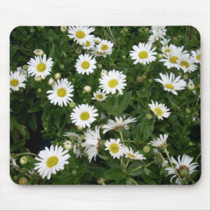 Daisy Musmatta