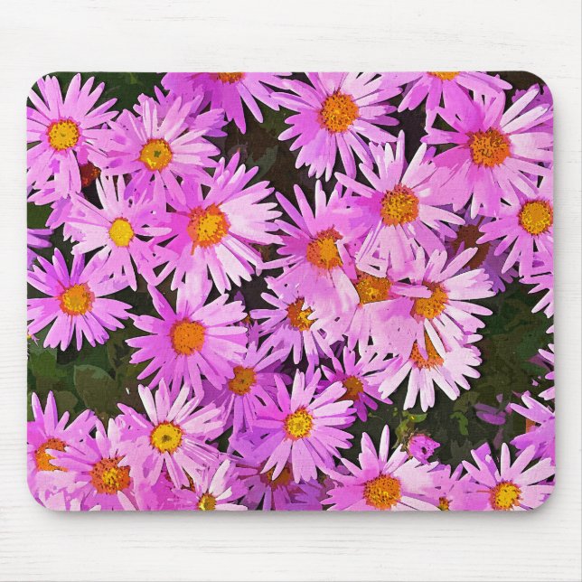 DAISY MUSMATTA (Framsidan)