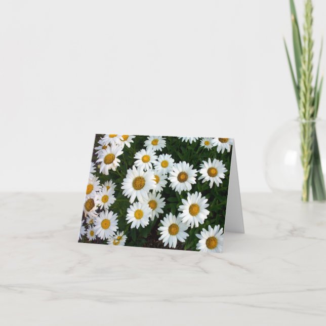 Daisy Note Card Kort (Framsida)