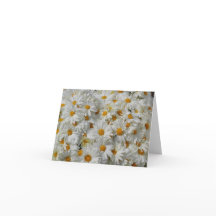 Daisy Notecard