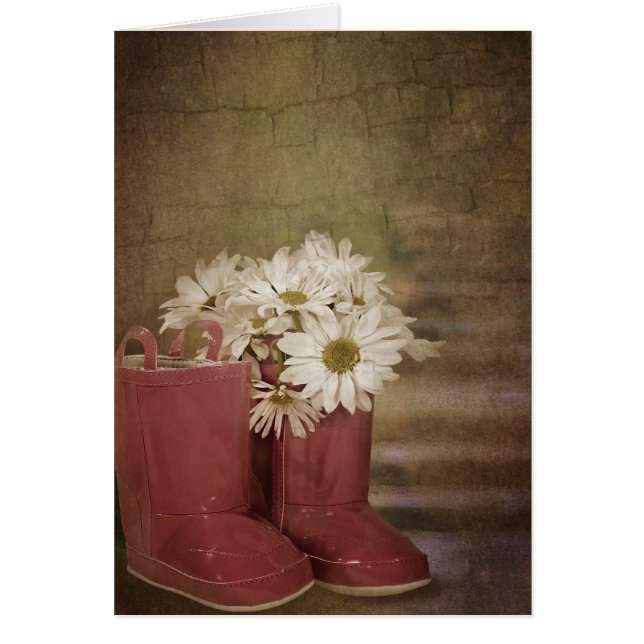 Daisy OBS Kort (Framsidan)