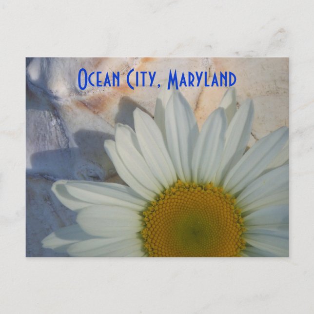 Daisy Ocean City Postcard Vykort (Framsida)