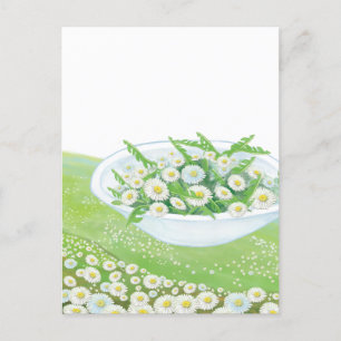 Daisy och Dandelion Vår Salad Illustration Helg Vykort