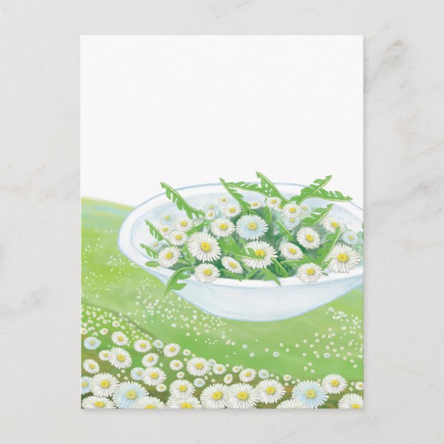 Daisy och Dandelion Vår Salad Illustration Helg Vykort (Framsida)