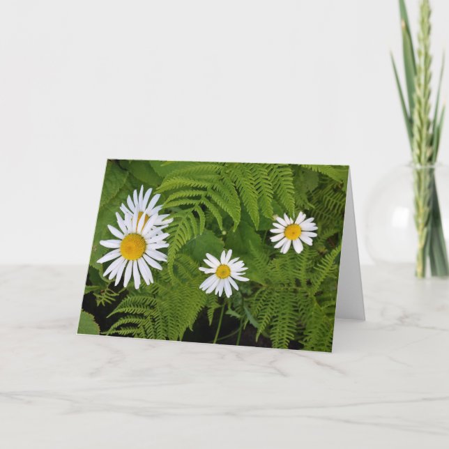 Daisy och Ferns, inklusive kuvert Kort (Framsida)