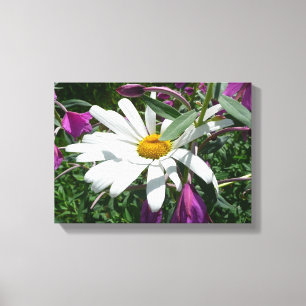 Daisy och Fireweed Wildblomma Canvastryck