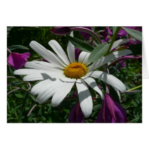 Daisy och Fireweed Wildblomma Hälsningskort
