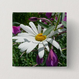 Daisy och Fireweed Wildblomma Knapp