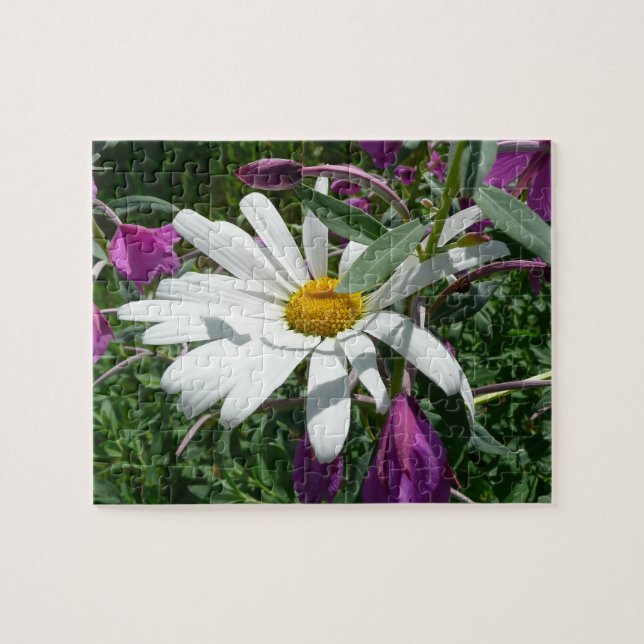 Daisy och Fireweed Wildblomma Pussel (Horisontell)