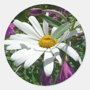 Daisy och Fireweed Wildblomma Runt Klistermärke