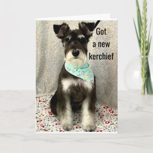 *DAISY OCH HÄNDELSER HELA DAGEN* **BIRTHDAY** KORT (Framsida)