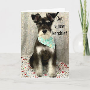 *DAISY OCH HÄNDELSER HELA DAGEN* **BIRTHDAY** KORT