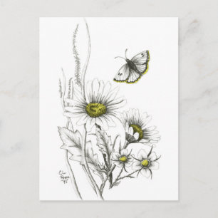 Daisy och sändkort vykort