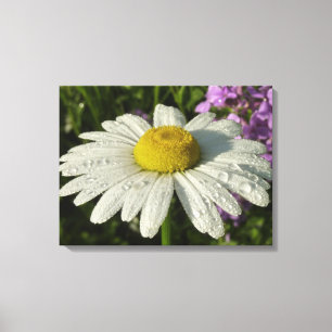 Daisy och sommar Lilac Wildblomma Canvastryck
