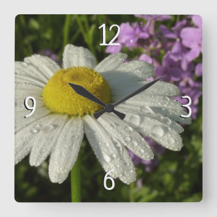 Daisy och sommar Lilac Wildblomma Fyrkantig Klocka