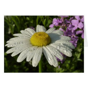 Daisy och sommar Lilac Wildblomma Hälsningskort