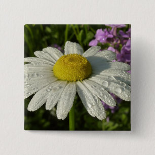 Daisy och sommar Lilac Wildblomma Knapp