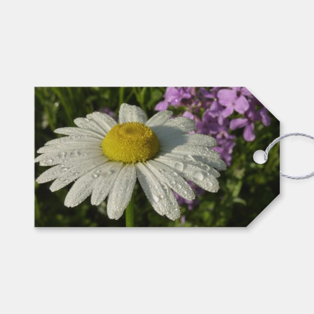 Daisy och sommarlila botaniska presentetikett (Framsidan (Horisontell))
