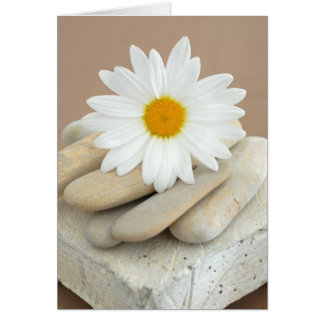 Daisy och stenar hälsningskort