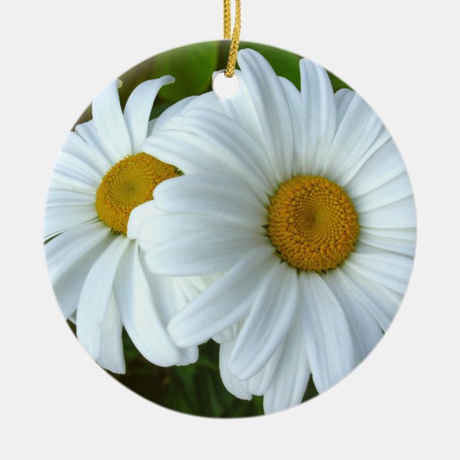 Daisy Ornament Flowers-Dekorationen Jul (Framsidan)