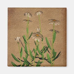 Daisy på åldrig papper blommigt magnet