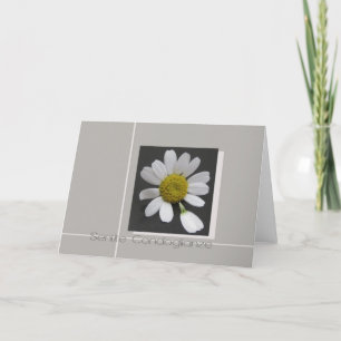daisy på grått kuransympatikort kort