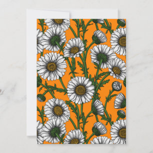 Daisy på orange