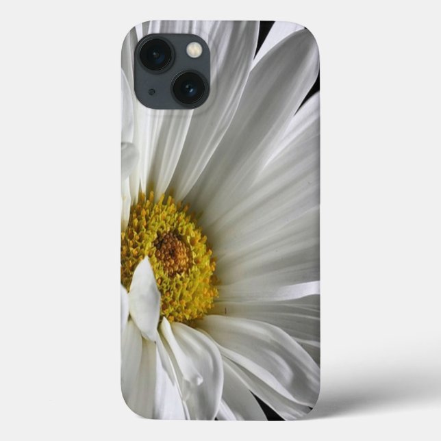 Daisy på svart bakgrund (Baksida)
