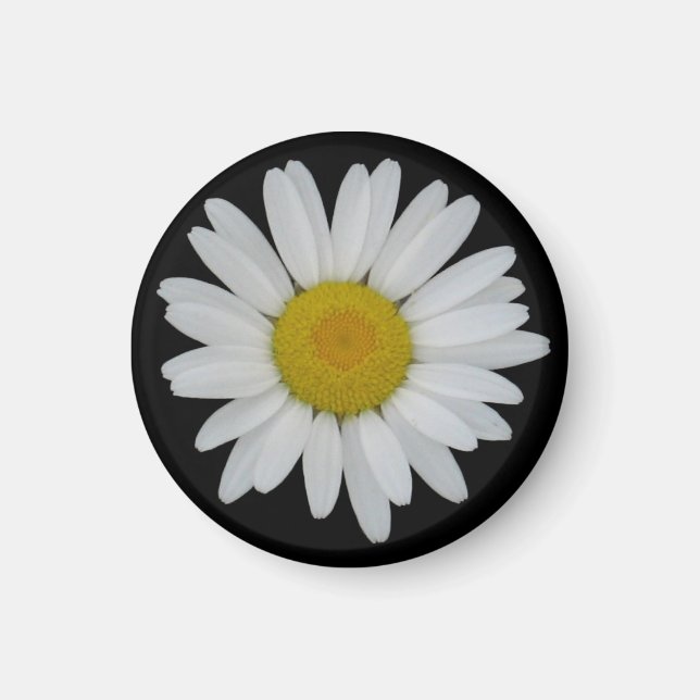 Daisy på svart magnet (Framsidan)