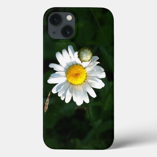 Daisy Photo iPhone 6/6s, Tuff Xtreme (Baksida)