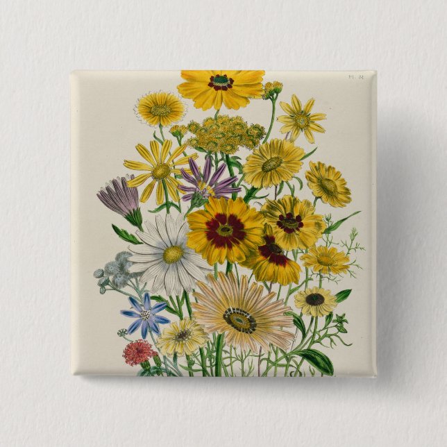 Daisy pläterar 31 från "damerna knapp (Framsida)