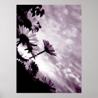 Daisy Poster