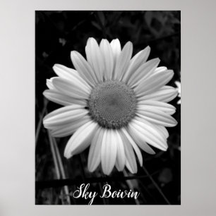 daisy poster